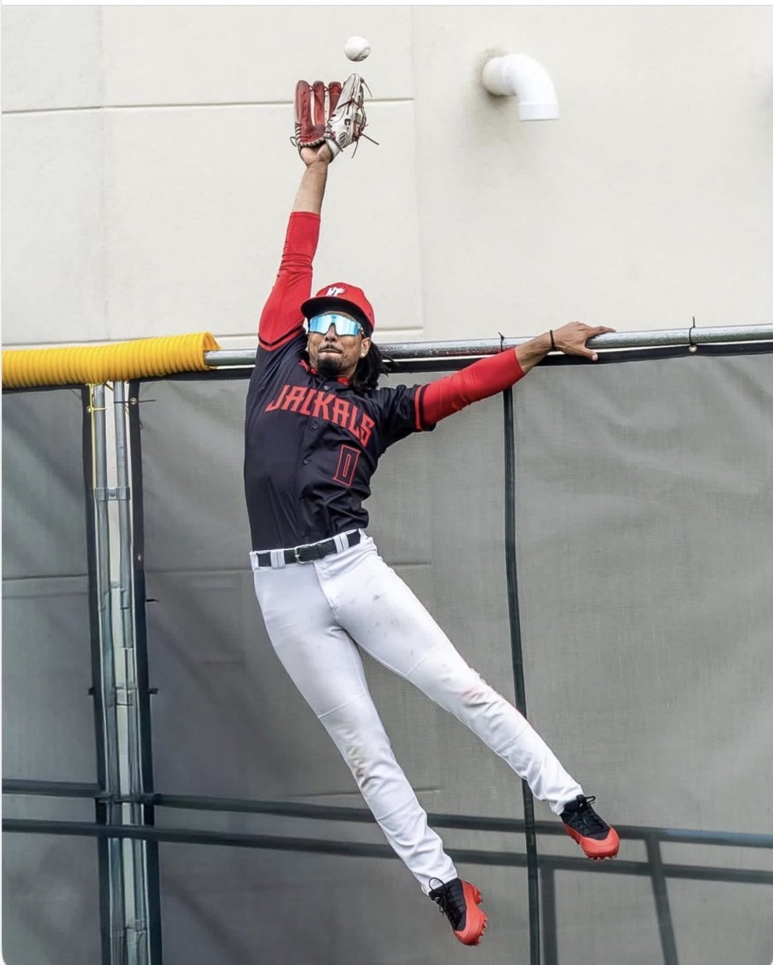 Jakobi leaping at the outfield wall to make a catch for the New Jersey Jackals