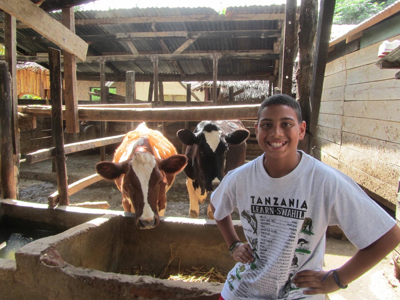 Jakobi as a boy beside two cows in a village barn in Tanzania